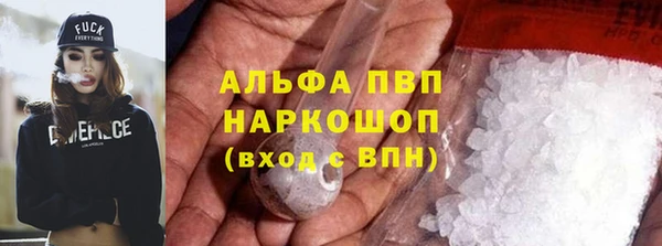 крисы Инта