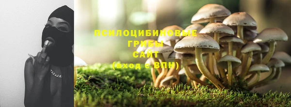 метадон Инсар