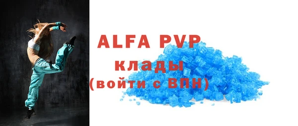 крисы Инта