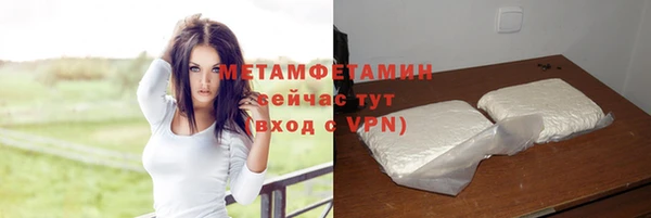 крисы Инта