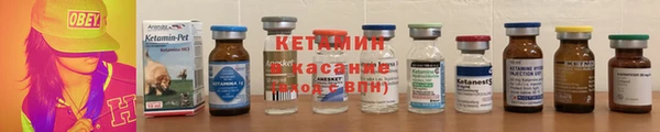 крисы Инта