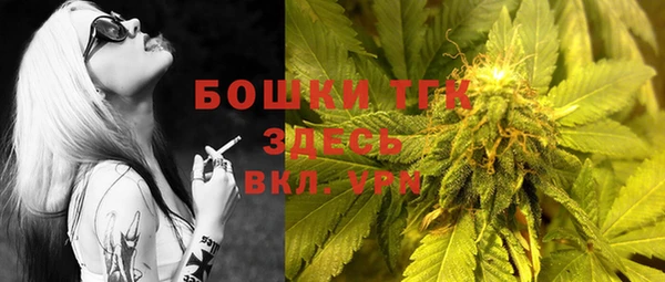 крисы Инта