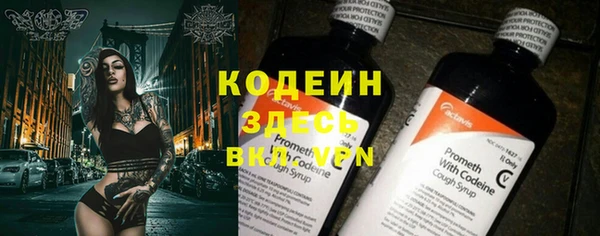 крисы Инта