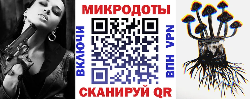 Купить где  Саров  Псилоцибиновые грибы Psilocybine cubensis 